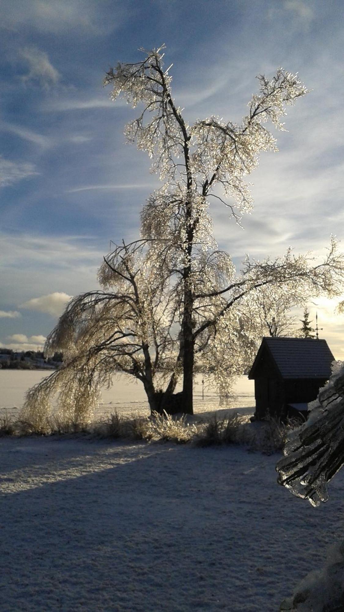 L'Ancrage B&B And Cottages Saint Louis de Kent Buitenkant foto